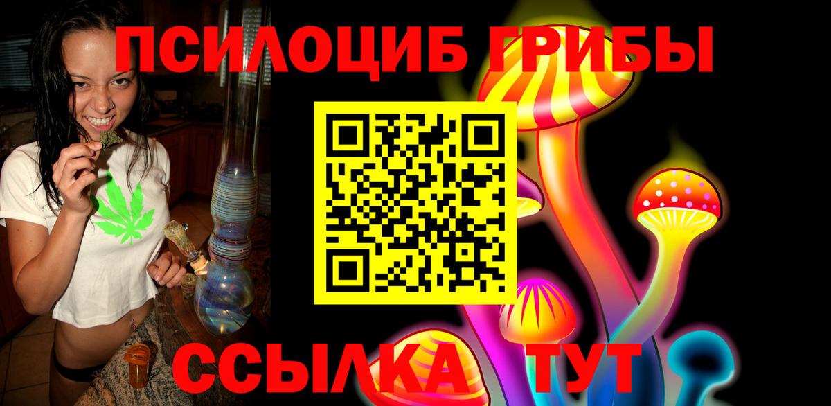 где купить   Галлюциногенные грибы MAGIC MUSHROOMS  Вход с VPN  Петрозаводск 